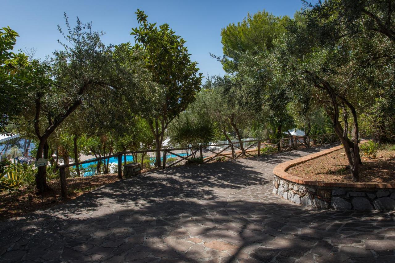 Hotel Villa Delle Meraviglie Maratea Exteriör bild