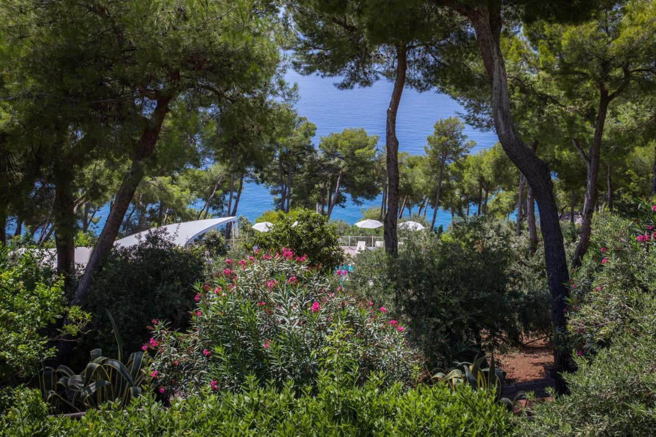 Hotel Villa Delle Meraviglie Maratea Exteriör bild